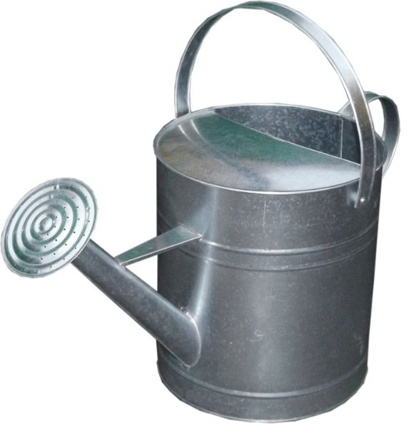 Picture of GALVANISED 10LTR WATERING CAN