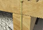 Picture of Rawlplug 4x40 Exterior Wood Screw   