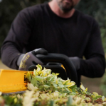 Picture of DeWalt DCMHT567N-XJ 18V BRUSHLESS 60CM 25MM GAP HEDGE TRIMMER