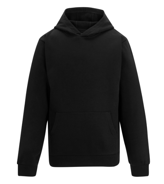 Picture of REGATTA TRF820 PRO HOODIE 