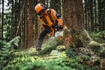 Picture of Stihl MS300C-M 18" Chainsaw 
